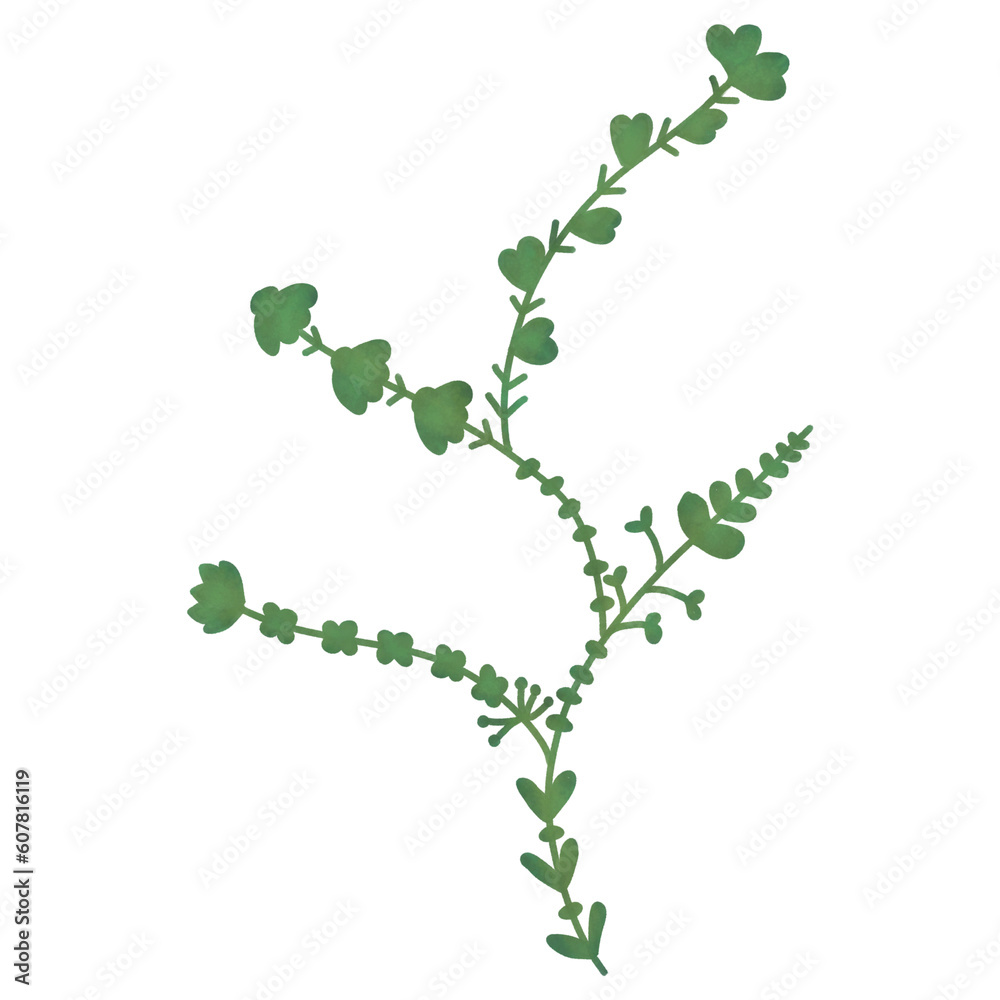 Fototapeta premium Hand drawn Floral design elements . Illustration in vintage on transparent background