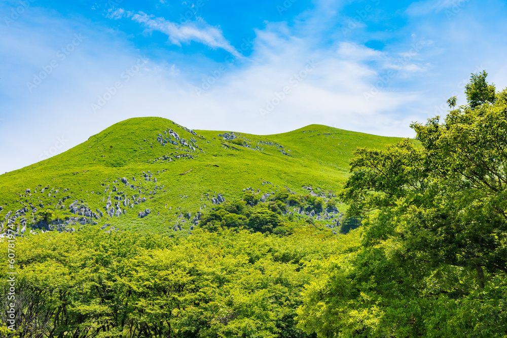 Obraz premium 青空と新緑とカルスト大地