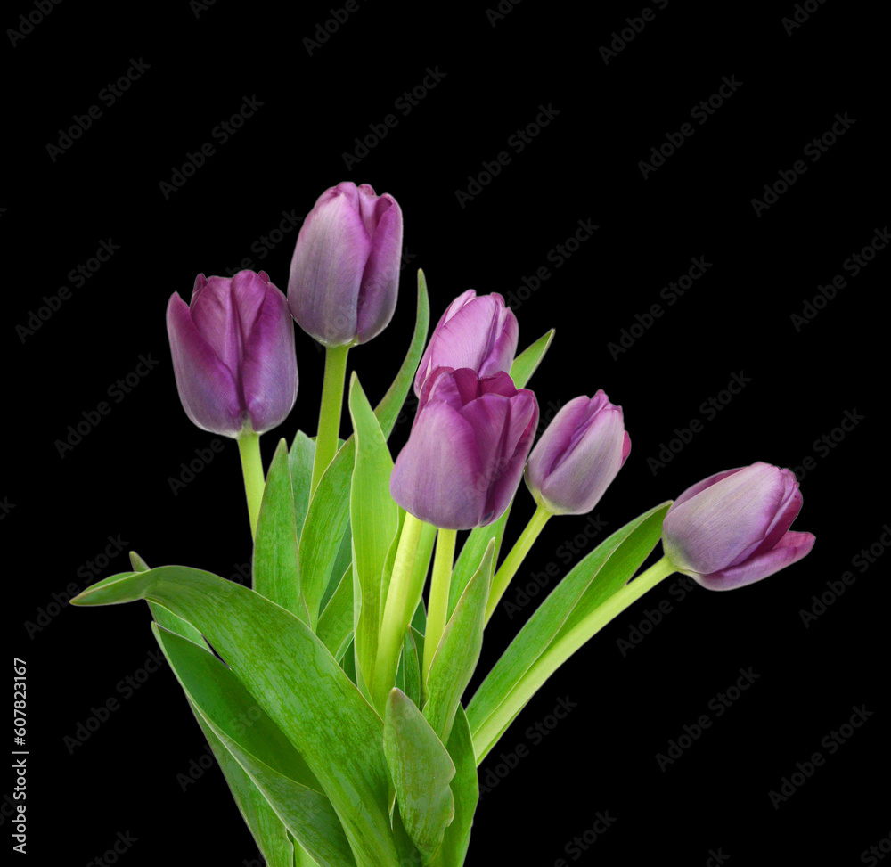 Beautiful bouquet of tulips, different colors Beautiful bouquet of tulips, different colors