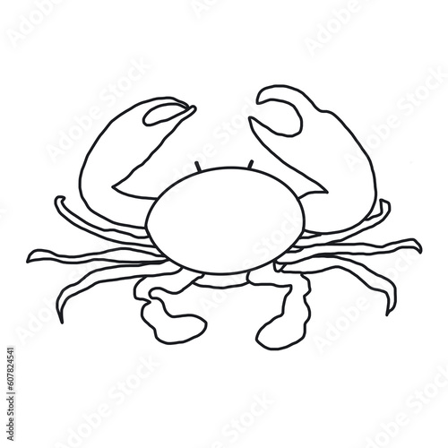 crab fresh food hand drawn doodle