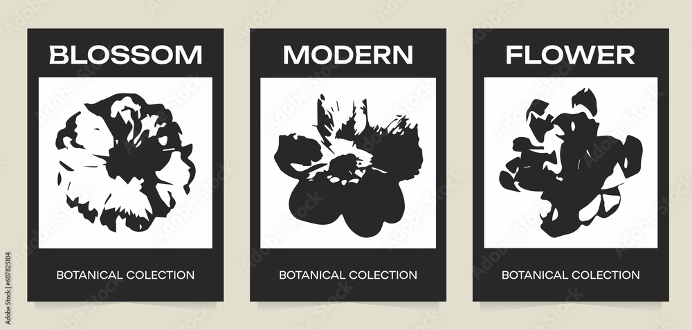 Collection of trendy minimalist aesthetic posters. Botanical silhouette art. Black flower on white background. Vector minimalism illustration. For printing, wall decor, prints, postcard. Collection of trendy minimalist aesthetic posters. Botanical silhouette art. Black flower on white background. Vector minimalism illustration. For printing, wall decor, prints, postcard.