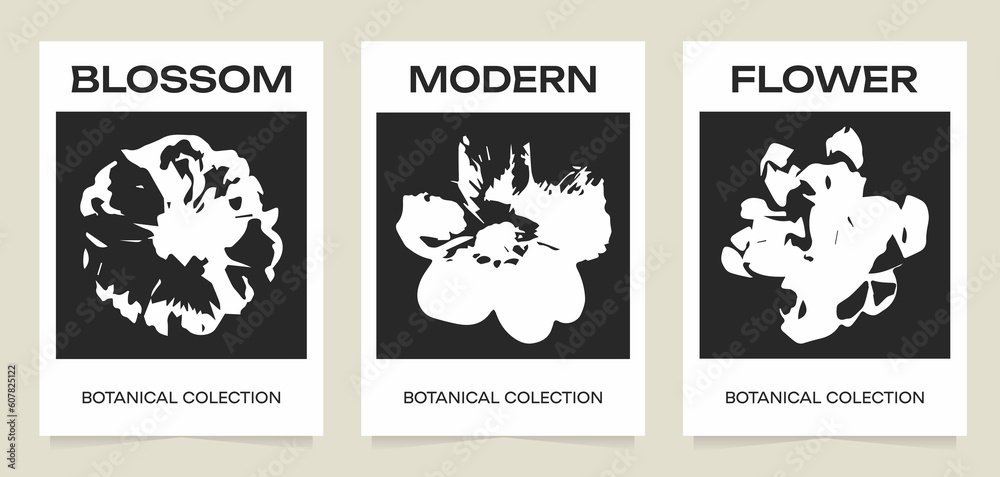 Collection of trendy minimalist aesthetic posters. Botanical silhouette art.  White flower on black background. Vector minimalism illustration. For printing, wall decor, prints, postcard.