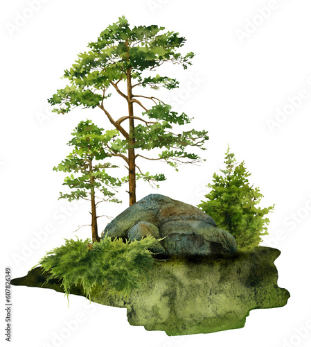 A forest landscape with rocks, junipers and pines hand drawn in watercolor. Watercolor landscape illustration.	