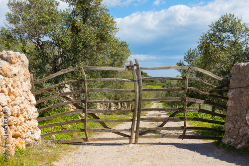 Barrier made of wild olive wood, typical of the countryside on the island of Menorca. Balearic Islands, Spain.