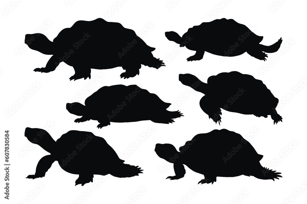Sea creatures and reptiles like turtles walking in different positions ...
