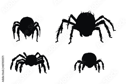 Wild insects sitting, silhouettes on a white background. Spider full body silhouette collection. Furry spiders and insects sitting in different positions. Dangerous tarantula spiders silhouette bundle