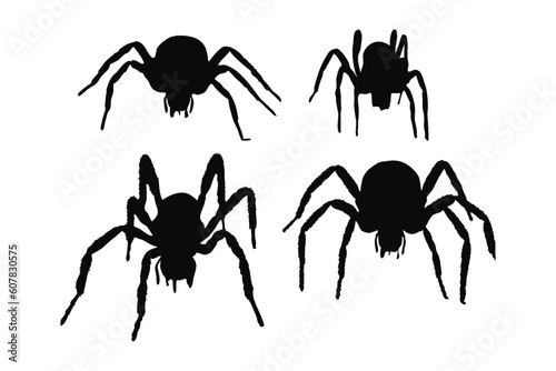 Spider full body silhouette collection. Wild insects sitting, silhouettes on a white background. Furry spiders and insects sitting in different positions. Dangerous tarantula spiders silhouette bundle