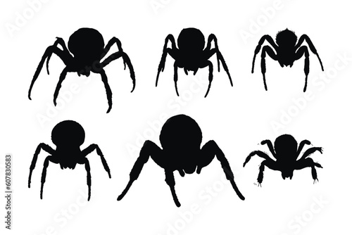 Furry spiders and insects sitting, silhouettes on a white background. Wild insects sitting in different positions. Dangerous tarantula spiders silhouette bundle. Spider full body silhouette collection