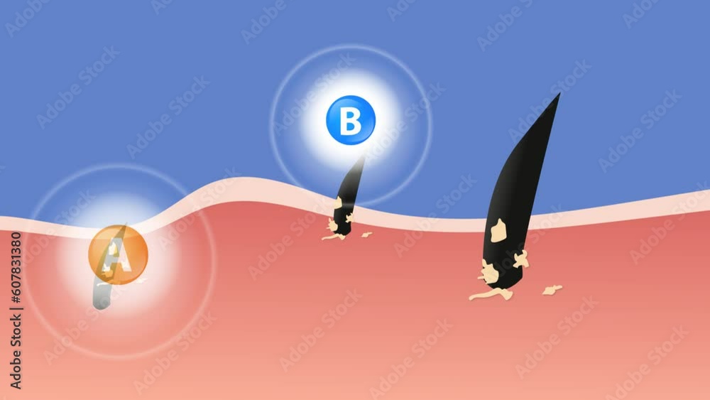Hair care, hair growth vitamins falling to the roots, Animation ...