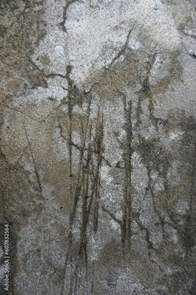 shadow of the old gray cement wall surface with cracks