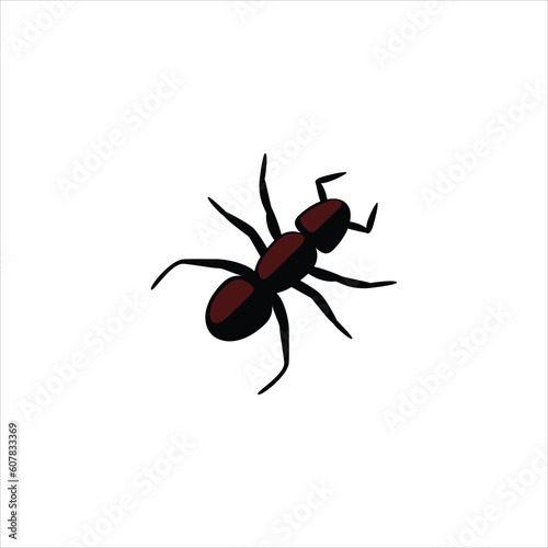 black ant isolated on white background © otwdesign