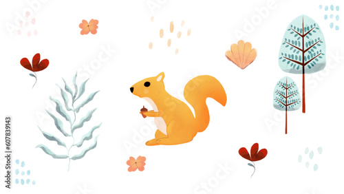 Watercolor Squirrel  plant  flower and shell 