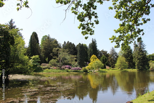 Die Blumeninsel Siebenbergen in Kassel photo