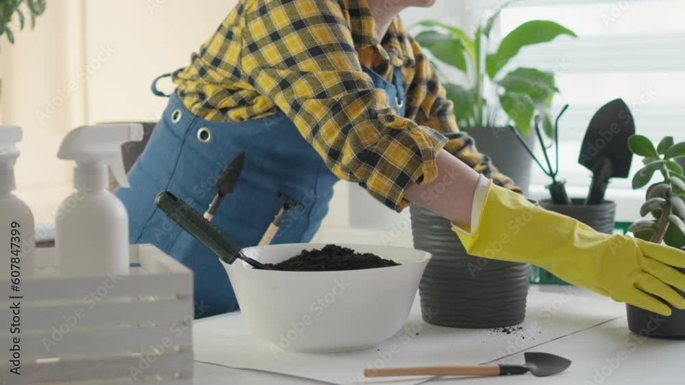 Flavorful pots in a video where a decor specialist shows a selection of