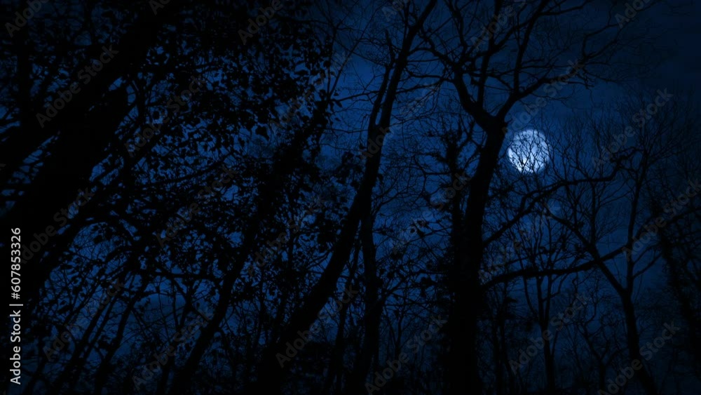 POV Scary Woods With Moon And Lightning Strikes