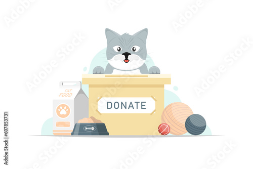 Cartoon donate food and equipment for stray cat, Vector illustration.