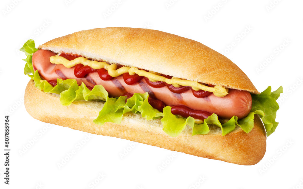Hot dog isolated Hot dog isolated