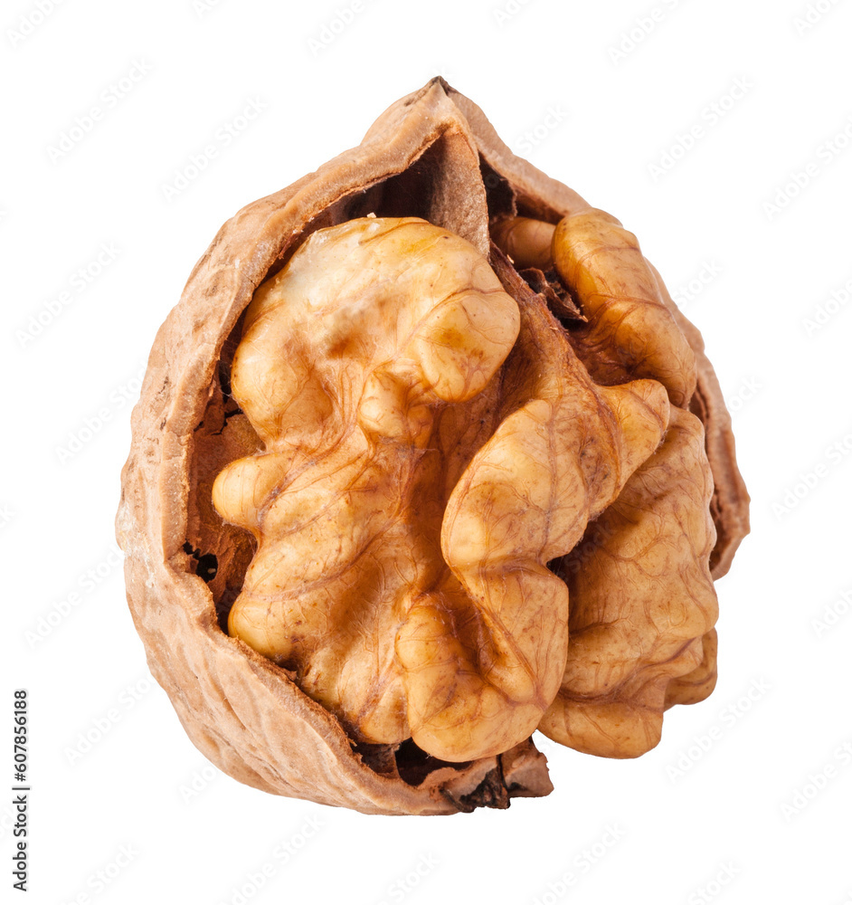walnuts isolated 