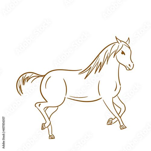 horse isolated on white background