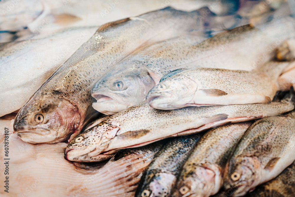 Assortment of fresh fish behind glass of display, seafood sale in fish supermarket. Soft focus. Healthy diet Assortment of fresh fish behind glass of display, seafood sale in fish supermarket. Soft focus. Healthy diet
