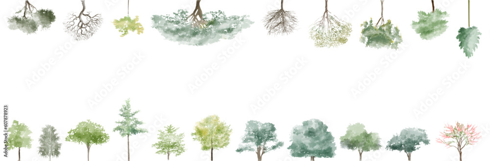 banner, tree watercolor vector illustration, Minimal style tree painting hand drawn, Side view, set of graphics trees elements drawing for architecture and landscape design. Tropical