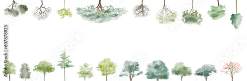 banner, tree watercolor vector illustration, Minimal style tree painting hand drawn, Side view, set of graphics trees elements drawing for architecture and landscape design. Tropical