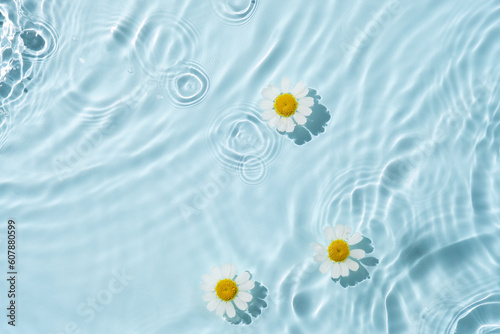 Chamomile flowers are floating, stains from a drop on the water