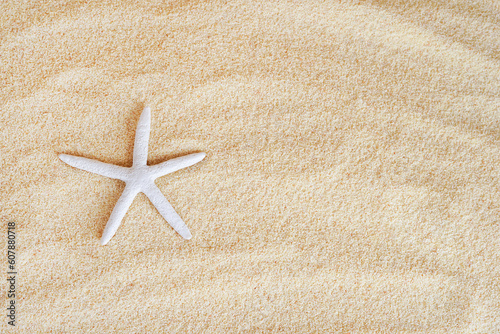 White Starfish on Beach Sand background, copy space. summer card