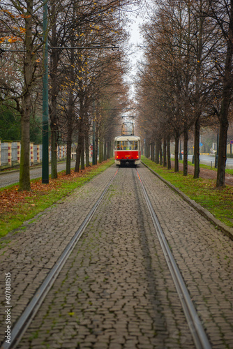 One red tram rides on the rails between the villages