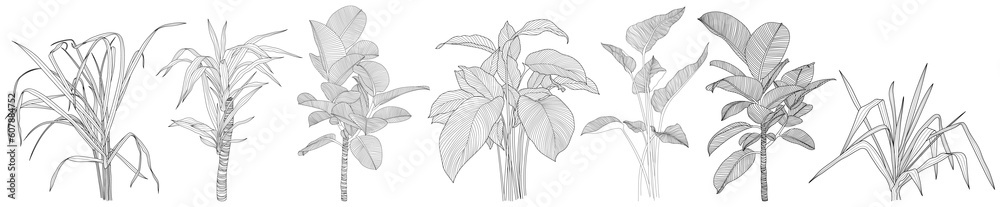 Leaves isolated on white collection. Tropical leaves set. Hand drawn abstract illustration. Leaves isolated on white collection. Tropical leaves set. Hand drawn abstract illustration.