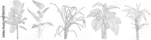 Leaves isolated on white collection. Tropical leaves set. Hand drawn abstract illustration. © ARTSTOK