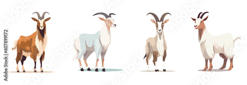 goats stands on a white background Vector illustration