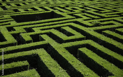 Green bushes maze