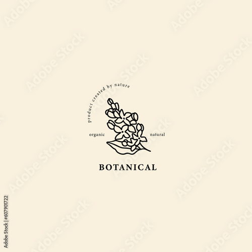 Line art lilacs flower branch logo