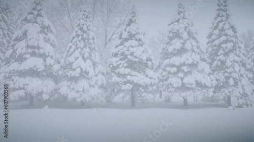 Background template slide for graphic resources communication of winter snow on trees 