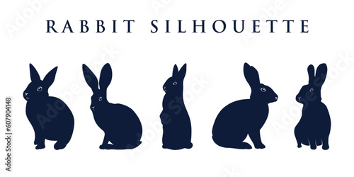 Vector of rabbit flat silhouette with different poses