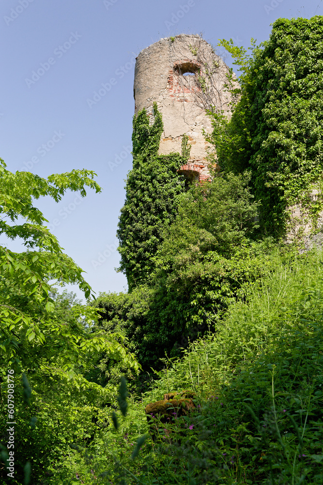 Fototapeta premium Ruines du château de ferrette