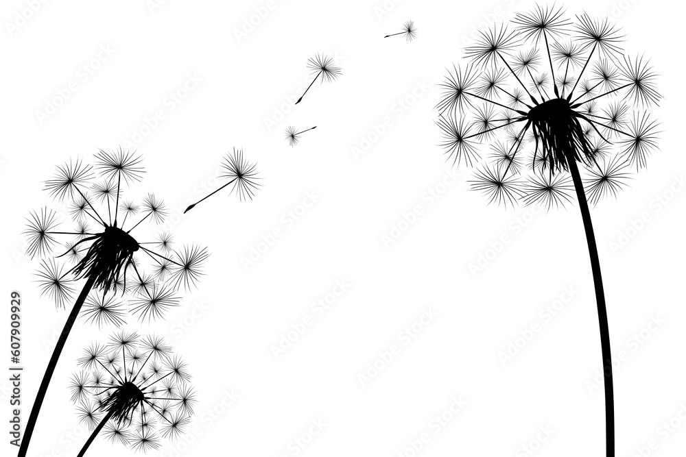 Silhouette of a simple single dandelion Silhouette of a simple single dandelion