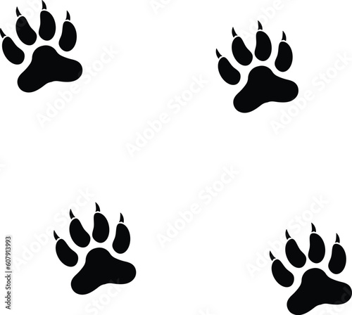liom paw print , tiger paw print , vector isolated on white background