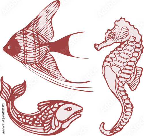 Sea fish seahorse
