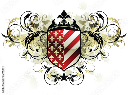 ornamental shield, this illustration may be usefull as designer work.