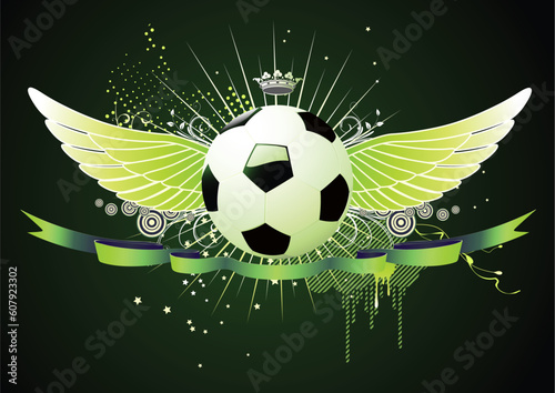 Vector illustration of style soccer football winged emblems