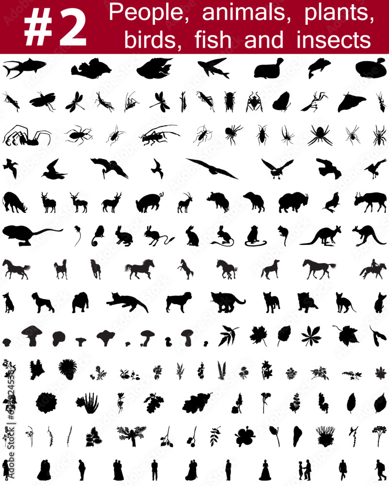 Set # 2.Big collection of collage vector silhouettes of people, animals, birds, fish, flowers and insects