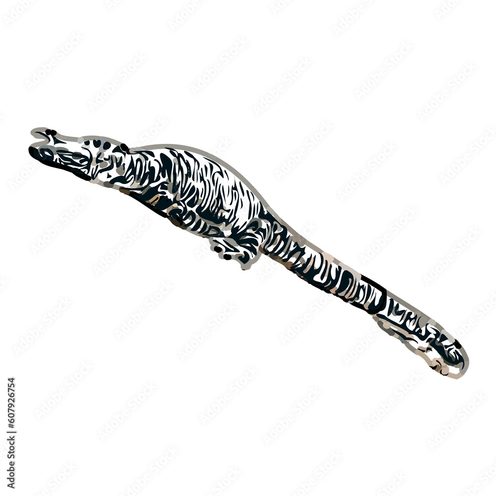 sketch of lizard with transparent background sketch of lizard with transparent background