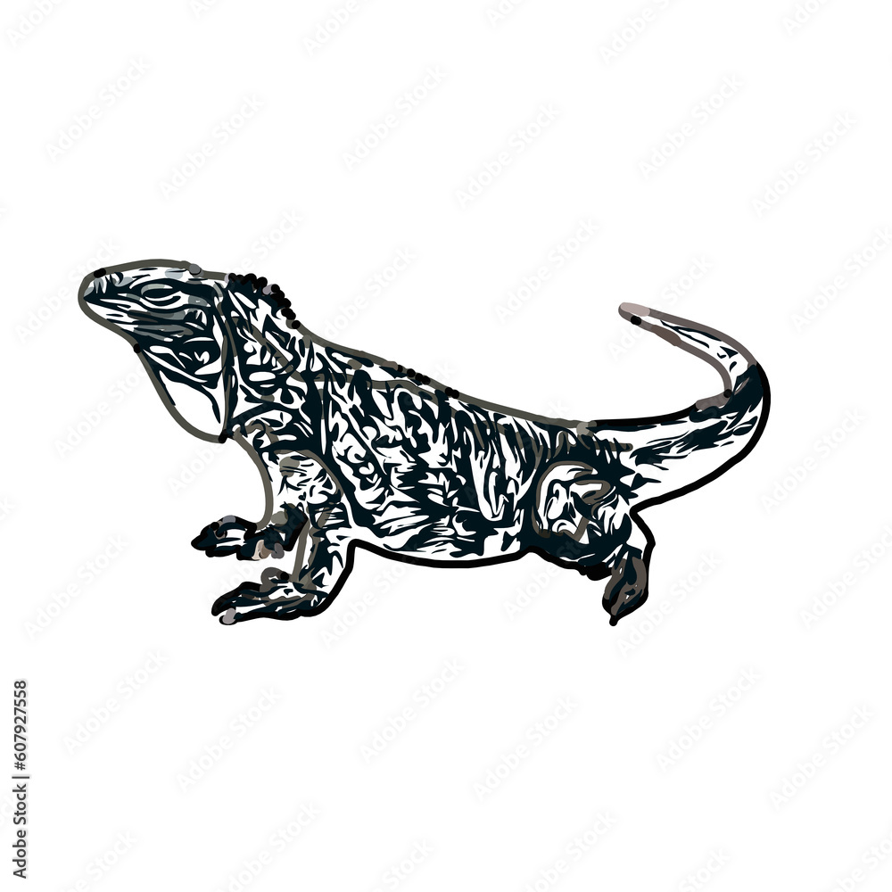 sketch of lizard with transparent background sketch of lizard with transparent background