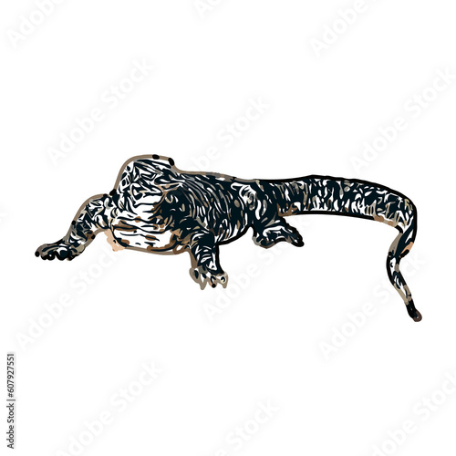 sketch of lizard with transparent background