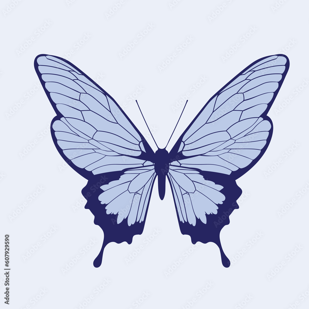 Fototapeta premium Vector illustration of a butterfly on a light background. 