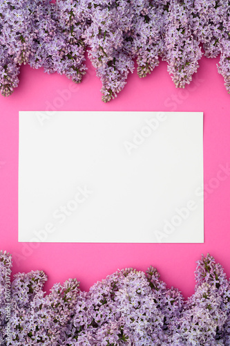 Layout of purple lilac flowers on a pink background,mock up in the center.Natural flower arrangement,flat lay, top view.