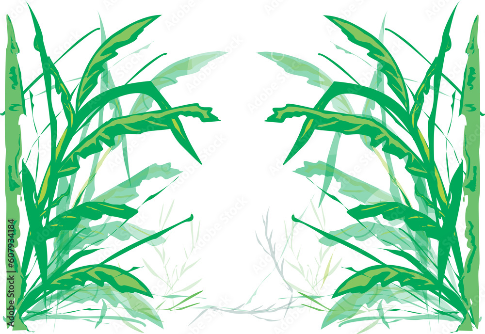 Obraz premium plantas, floresta, vetor, verde, ilustração, bambu, relva