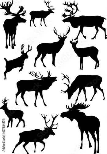 Fototapeta Naklejka Na Ścianę i Meble -  vector illustration of a deer set